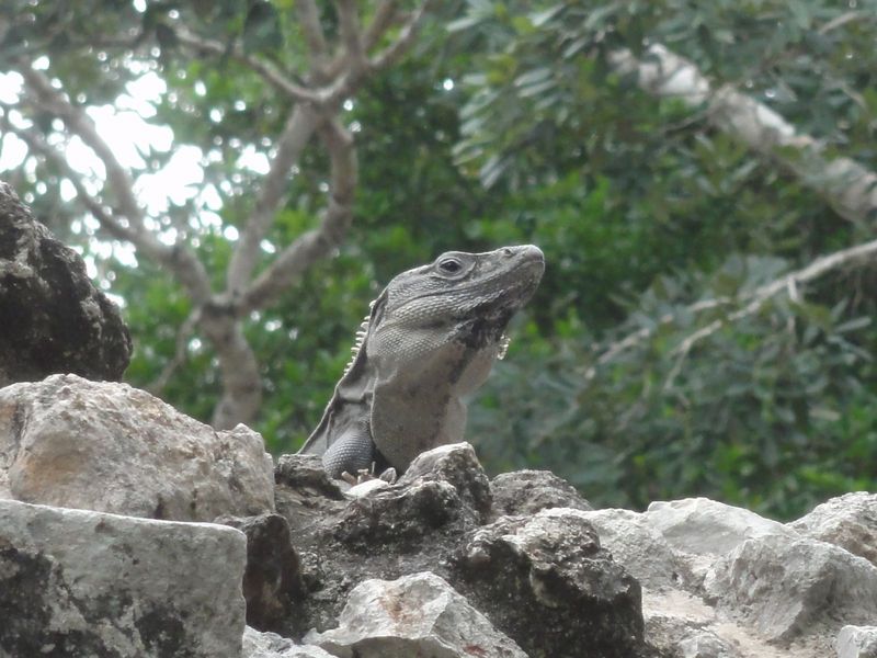 186-yucatan