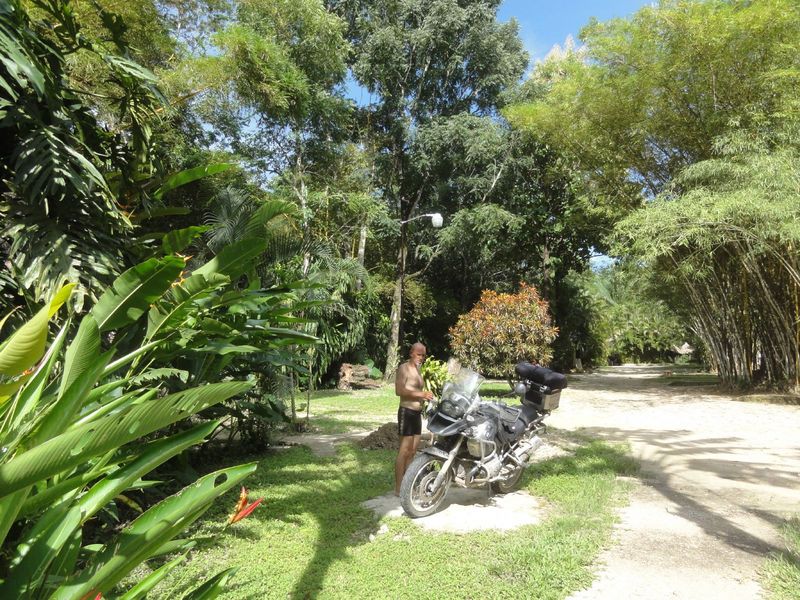 494-palenque