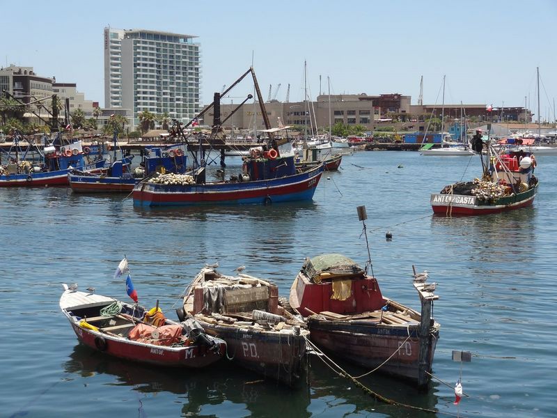 348-antofagasta