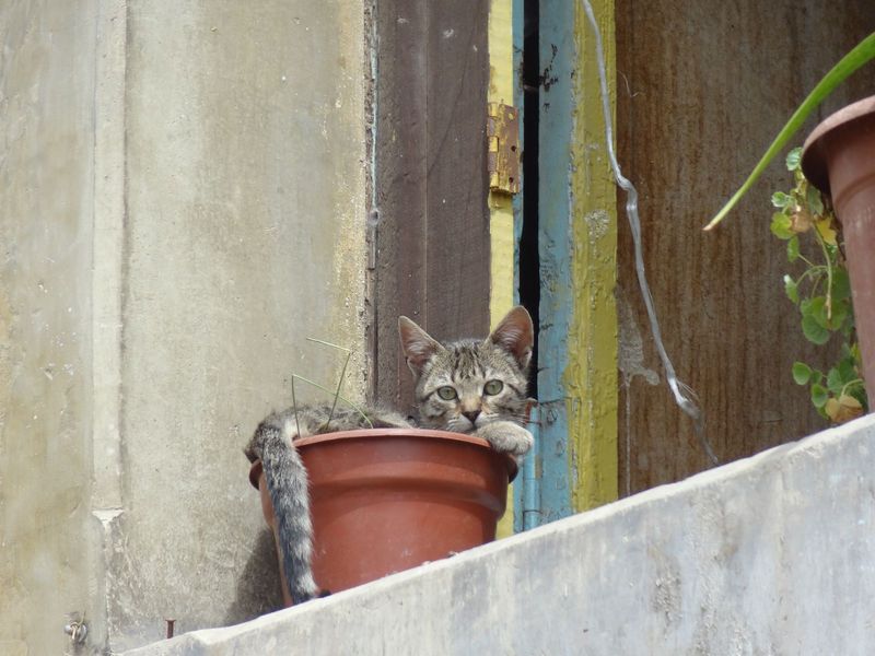 valparaiso158