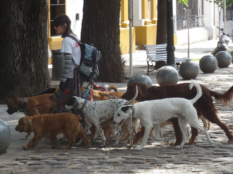 538-buenosaires