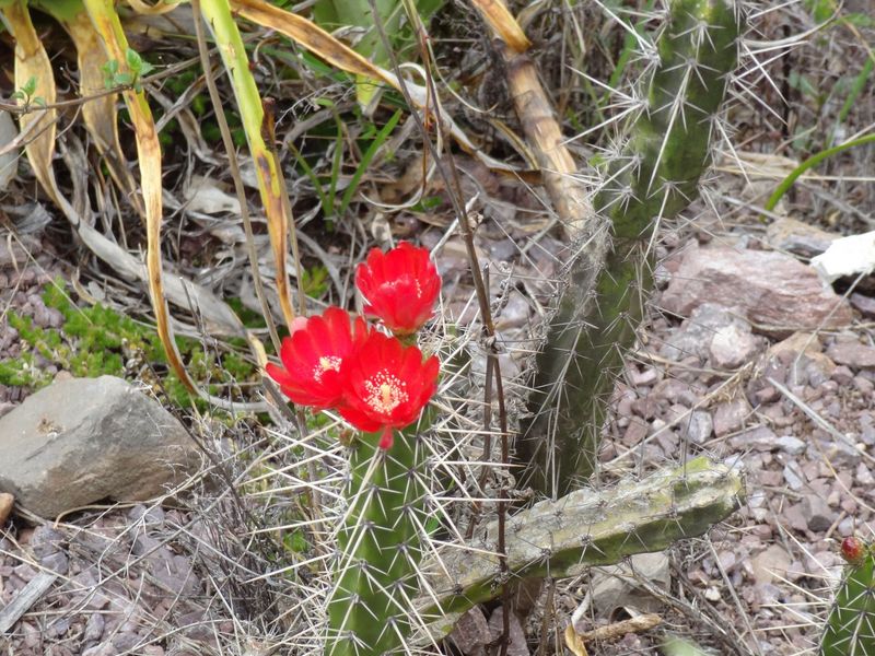 sacredvalley152