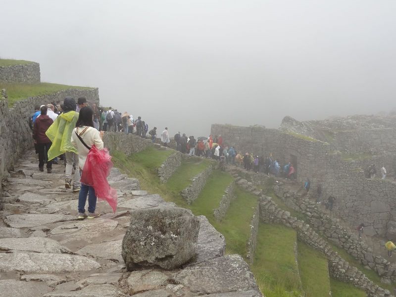 MachuPicchu194