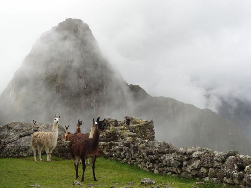 MachuPicchu240