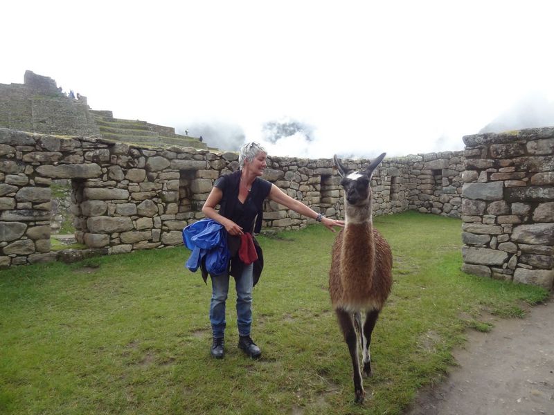 MachuPicchu277