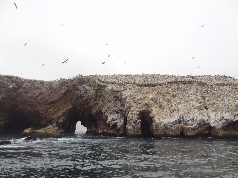 251-ballestas