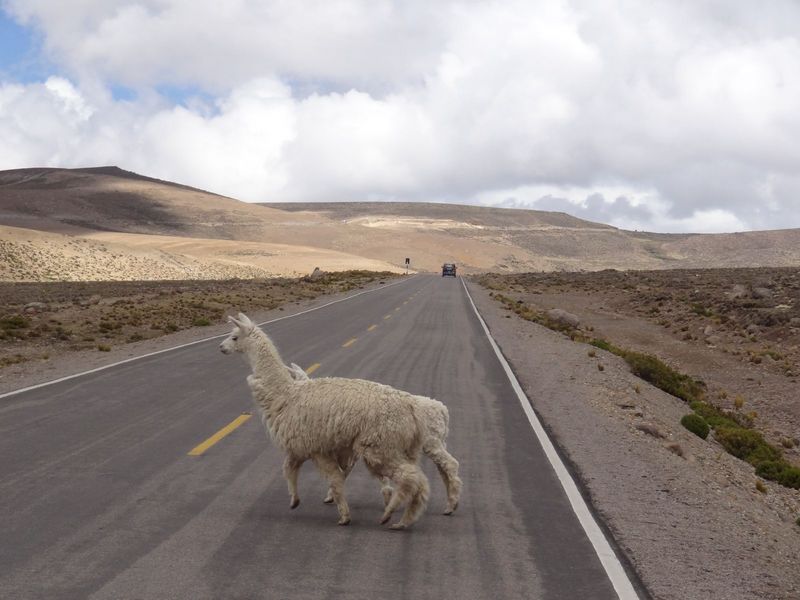 360-arequipa