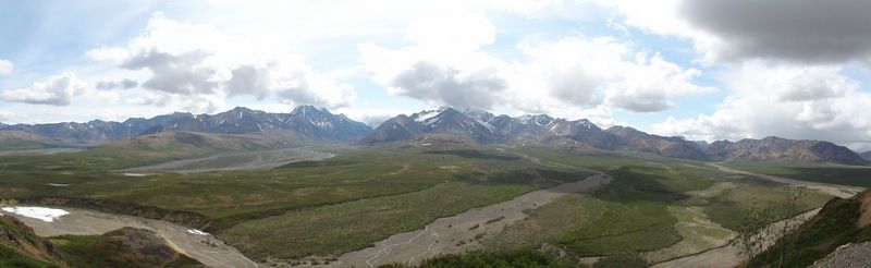 384-denali