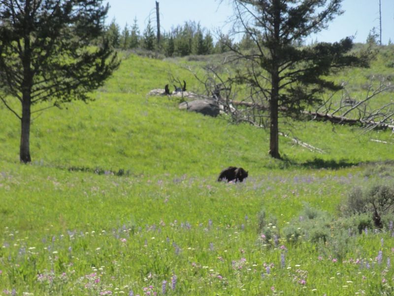 104-wyoming