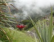 MachuPicchu159