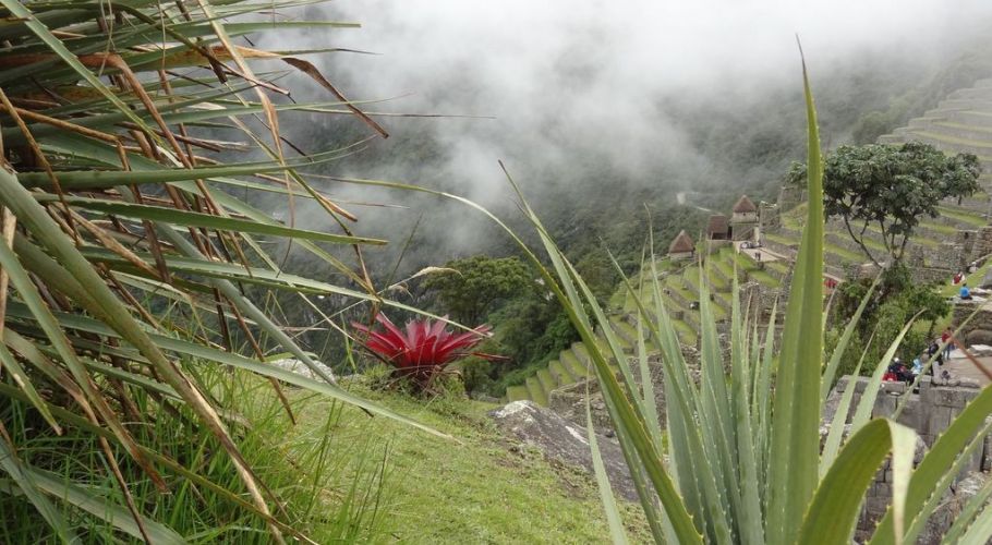 MachuPicchu159