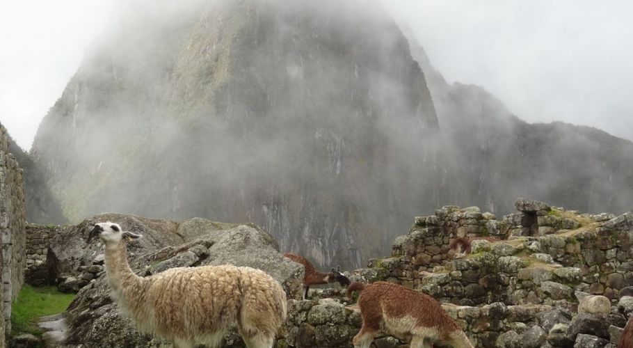 MachuPicchu260