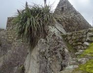 MachuPicchu227