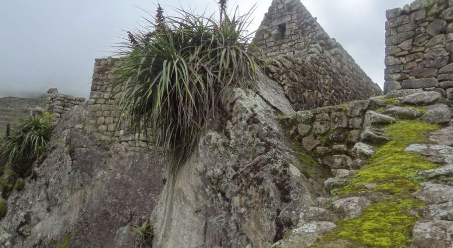 MachuPicchu227