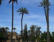 jerez 052 (2)