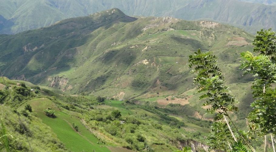 705-cauca